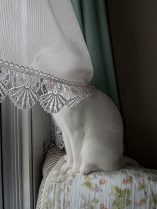 ���ͤ�����6