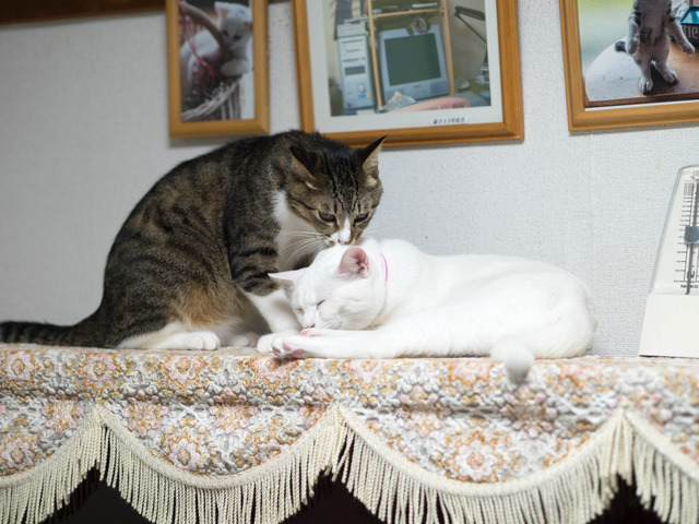 ����������4