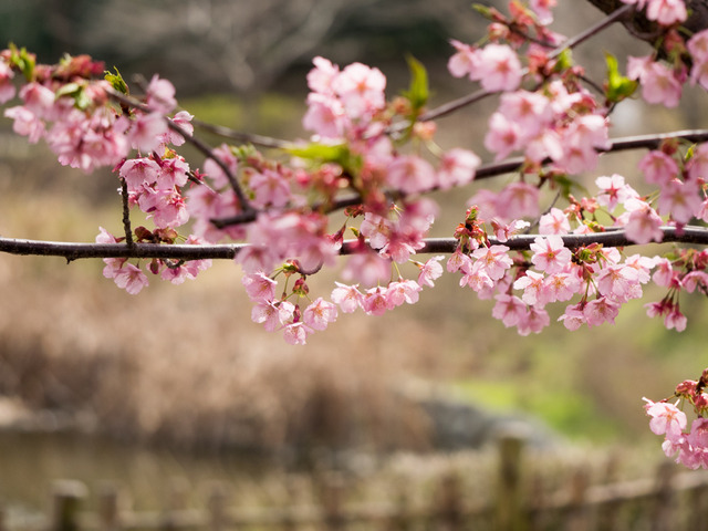 ���ݎ��ގ���3