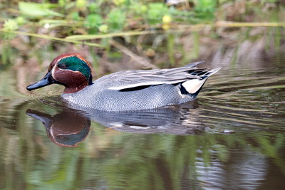 �����ގ�