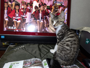 ���ͤ���61