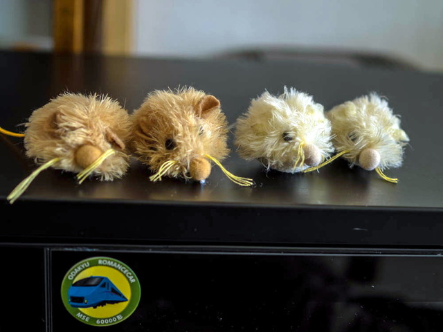 ���ͤ���02