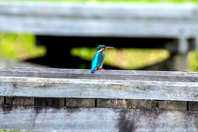 ���܎���3