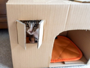 ���ͤ���76