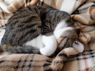 ���ͤ���9