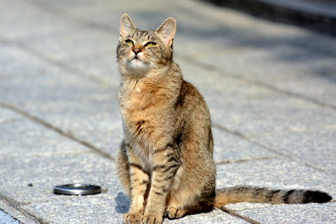 ���·���2