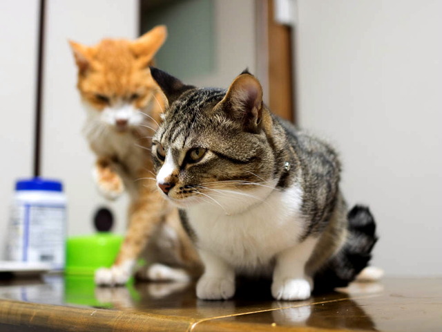 ���ͤ�����06