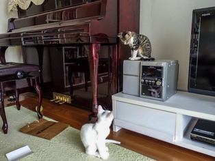 ���ͤ�����09