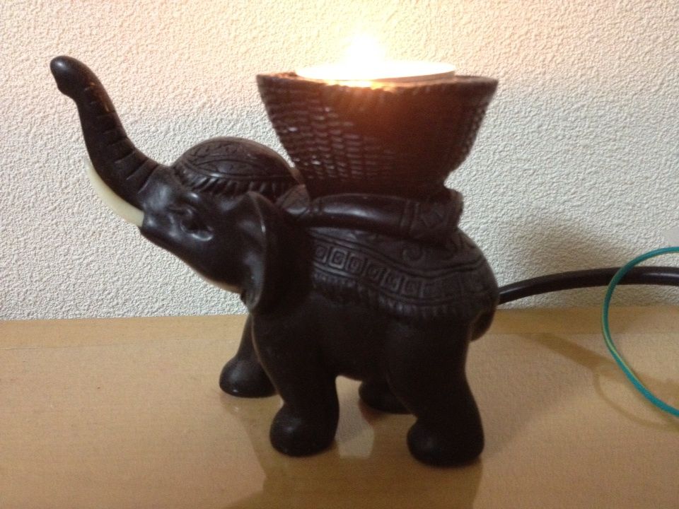 クマ出没 ゾウも出没 Happy Studying Life In Osaka Japan クマ出没 ゾウも出没 Happy Studying Life In Osaka Japan