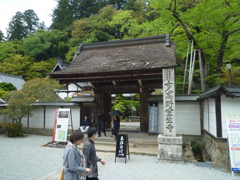 P1020667