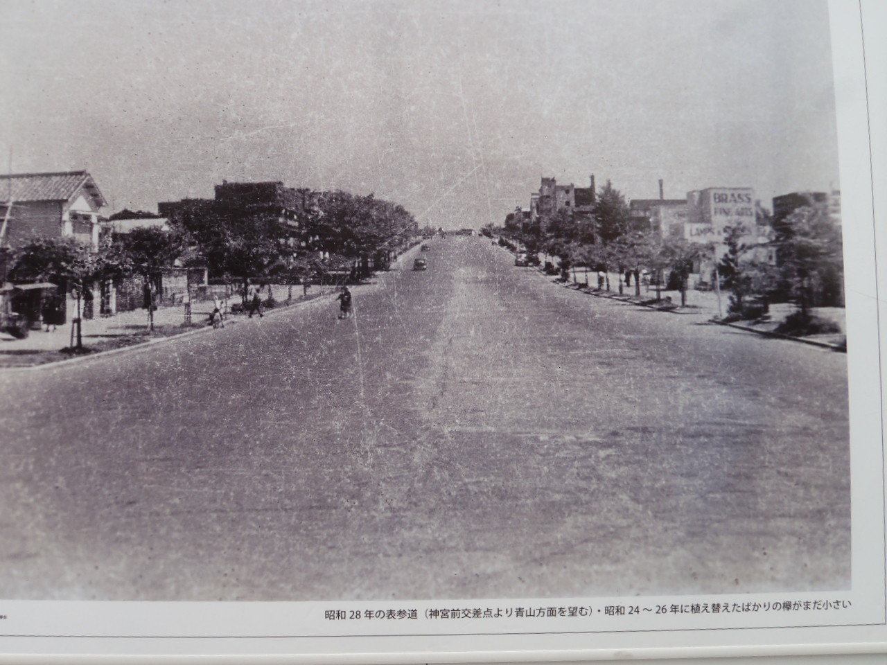 りつめいたんけん:原宿～青山散歩