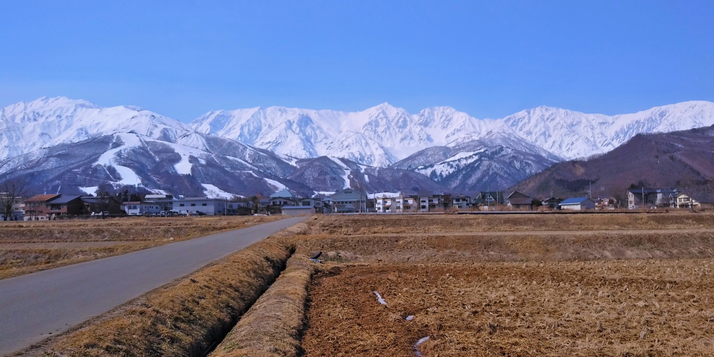今日の白馬三山 年3月1日 フキノトウも咲いたよ 白馬日和 今日の白馬三山 年3月1日 フキノトウも咲いたよ 白馬日和