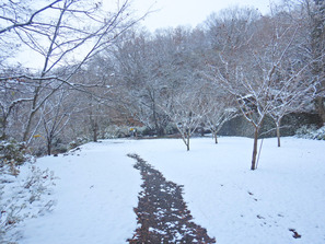 ´ä¾¾±¡¤Î΢¼ê¤Î¡¢´çÅľ뾮¾ë¤ÎÆþ¸ý