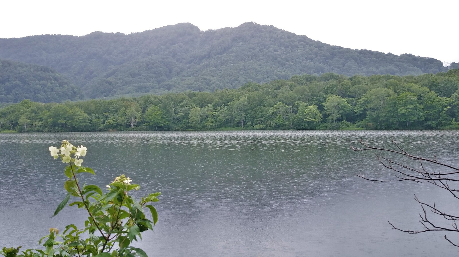 糸魚川銘菓 栂海 つがみ 新道 白馬日和 糸魚川銘菓 栂海 つがみ 新道 白馬日和