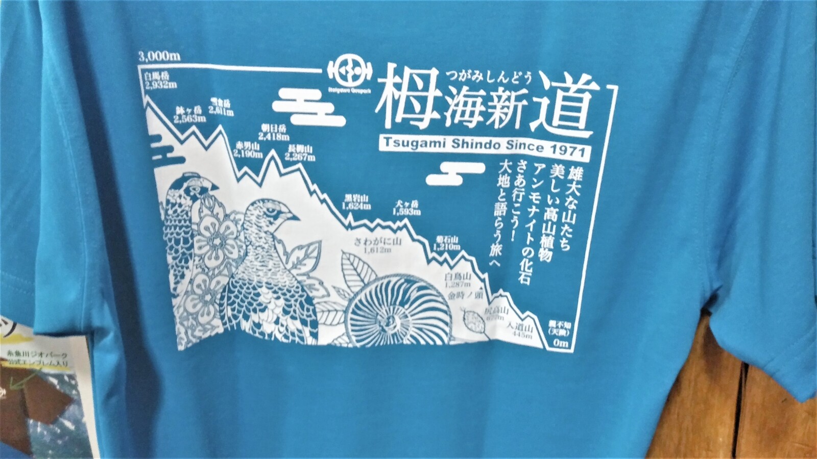 糸魚川銘菓 栂海 つがみ 新道 白馬日和