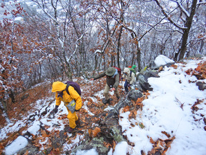 ´çÅÄ»³¾®¾ëÀפ˸þ¤«¤Ã¤ÆÅФê¤Þ¤¹