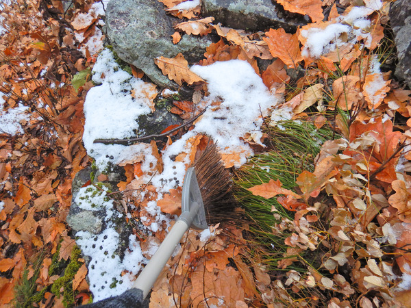 ÊÁ¤òû¤¯¤·¤¿¥Û¥¦¥¤¬³èÌö