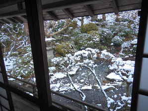 ´ä¾¾±¡¤µ¤ó΢¼ê¤Î³¿¹çÀï¤ÎÃÓ