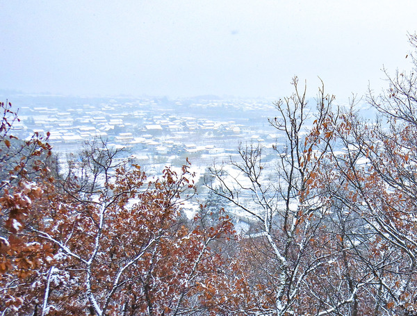 ´çÅÄ»³¾®¾ë¤«¤é¾®ÉۻܤÎĮʤߤò¸«¤ª¤í¤¹