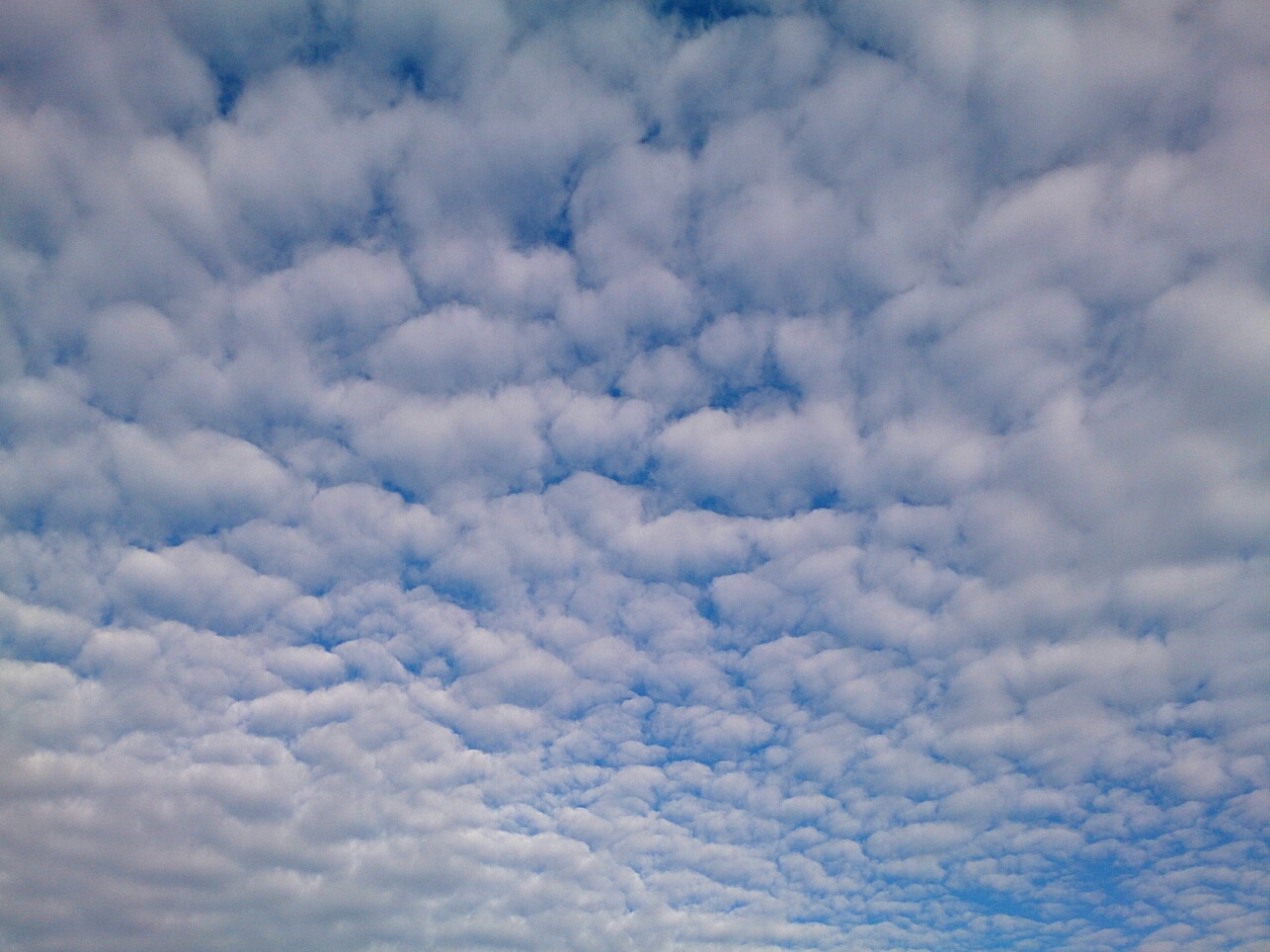 ひつじ雲 白馬日和 ひつじ雲 白馬日和