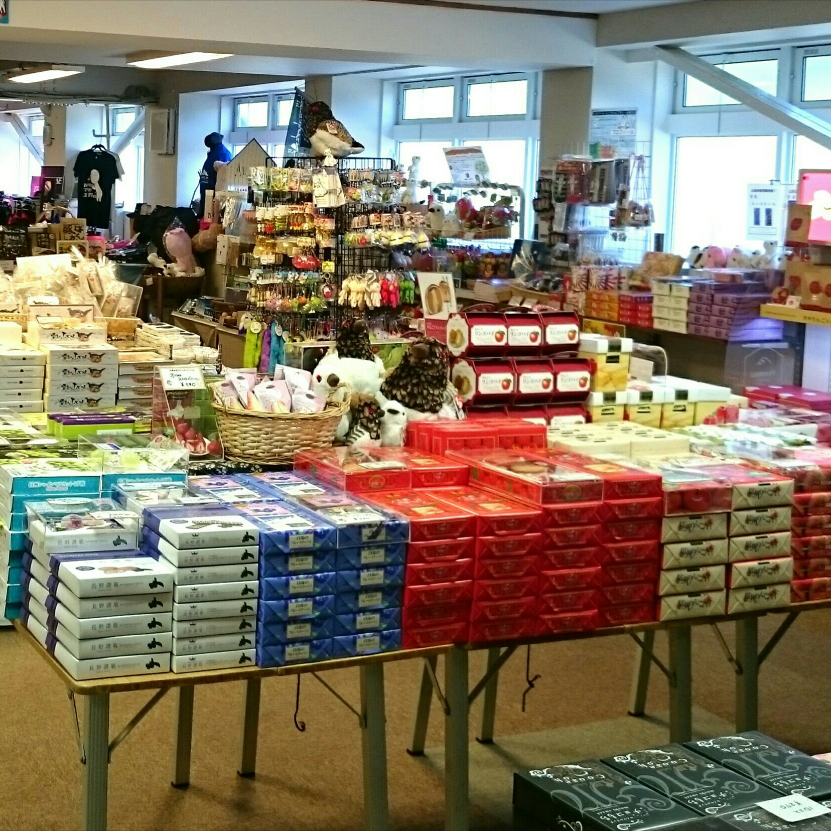 ゴンドラ ノア 岩岳