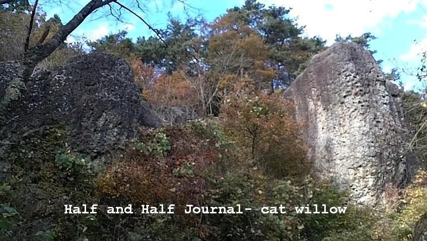 仮面について ギャルリー 39 羊の蹄岩とギリシア正教のクリスマス Cat Willow