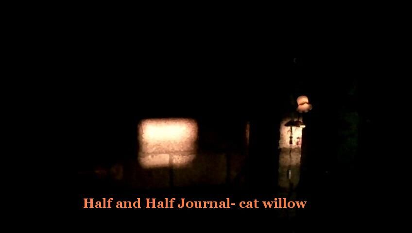 外国語の記号論的なメッセージ 日本語で歌うシャンソンばかり Cat Willow 外国語の記号論的なメッセージ 日本語で歌うシャンソンばかり Cat Willow