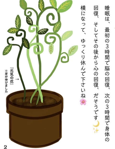 S__79929546