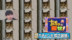 テロップ_ワカチャンを探せ状態1