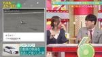 大越ひなの_シャコタン
