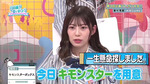 テロップ_一生懸命探しました3