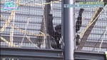 富田鈴花_宮崎キャンプ8
