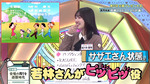 テロップ_サザエさん状態