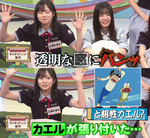 テロップ_ど根性ガエル?