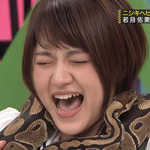 若月佑美_蛇マフラー