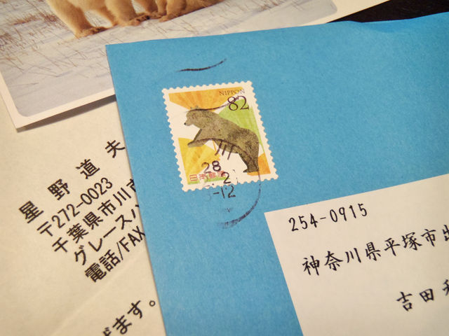 星野道夫　オリジナルプリント　証明書付 ○星野道夫|「白熊(オリジナルプリント)」|カラープリント|証明