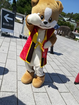 IMG_20190525_141355_1