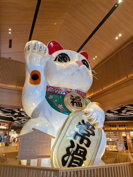 PXL_20260612_053208845