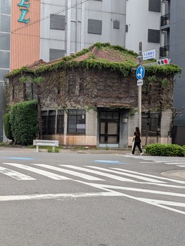 PXL_20260923_051921536
