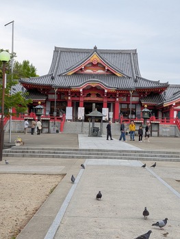 PXL_20260429_015211886
