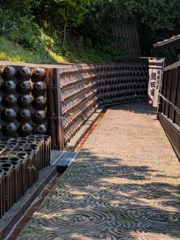 PXL_20260612_040524091
