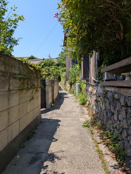PXL_20260612_040119276