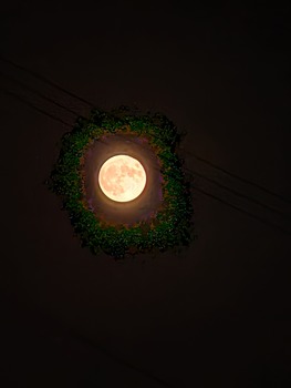 NIGHT