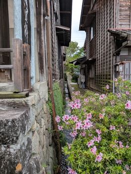 PXL_20260504_051358132
