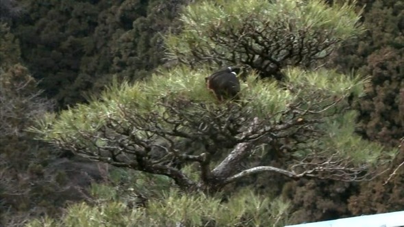 20111123102943_52_1
