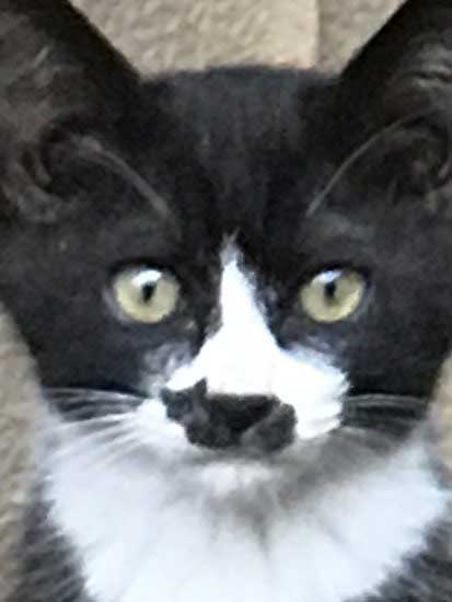 no title