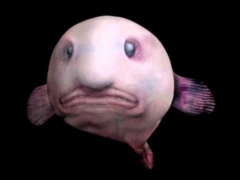32_2