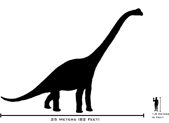 17_1