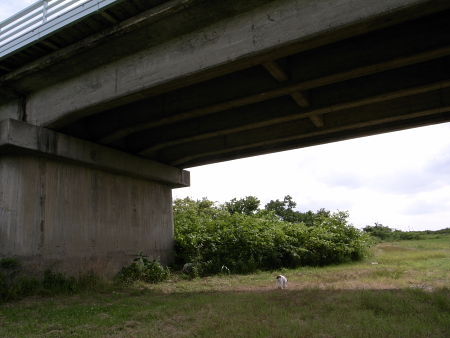R0018592_01