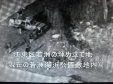 パイ シャオ イェン